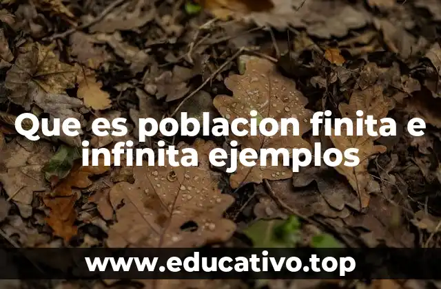 Que es poblacion finita e infinita ejemplos