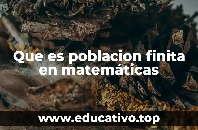 Que es poblacion finita en matemáticas