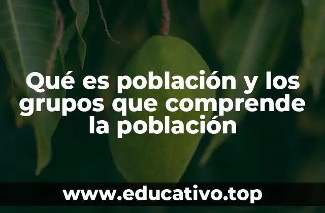 Cómo se clasifica una población según diferentes criterios