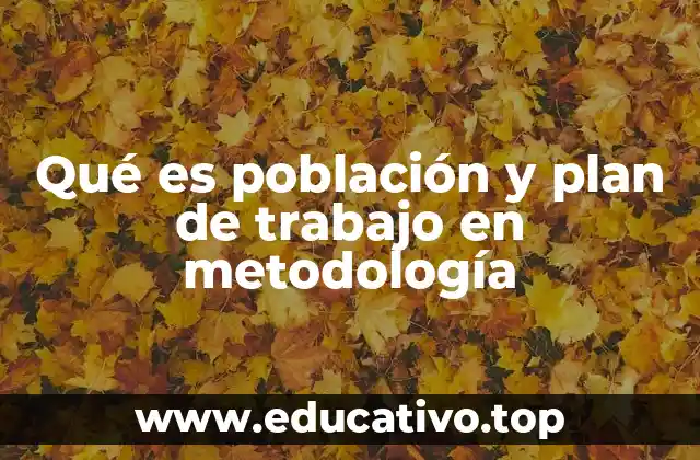 Qué es población y plan de trabajo en metodología