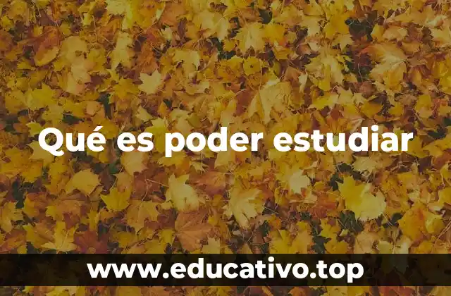 La importancia del acceso a la educación