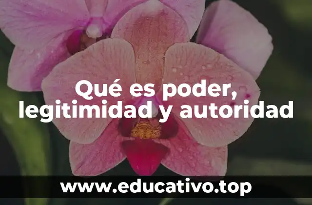 Qué es poder, legitimidad y autoridad