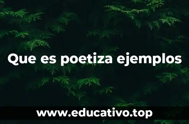 Que es poetiza ejemplos