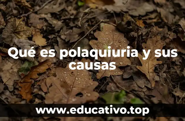 Qué es polaquiuria y sus causas