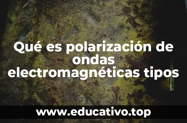Qué es polarización de ondas electromagnéticas tipos