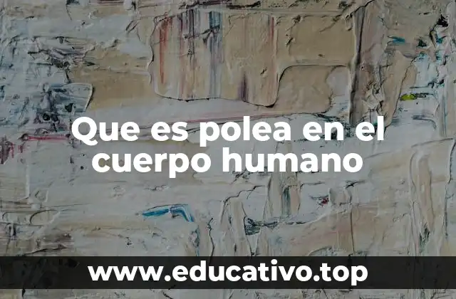 El papel de los tendones y huesos como elementos biomecánicos