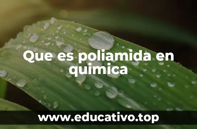 Que es poliamida en quimica