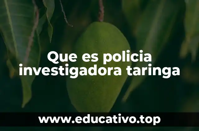 Que es policia investigadora taringa