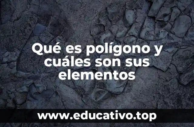 Qué es polígono y cuáles son sus elementos