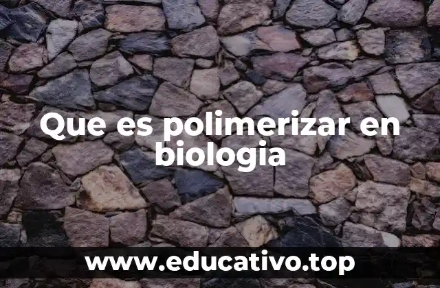 Que es polimerizar en biologia