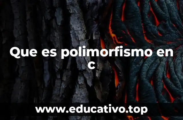 Que es polimorfismo en c