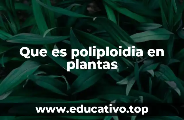 Que es poliploidia en plantas