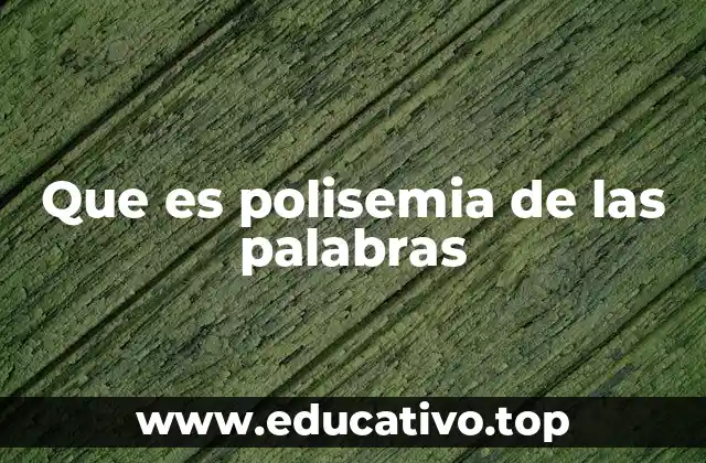 Que es polisemia de las palabras