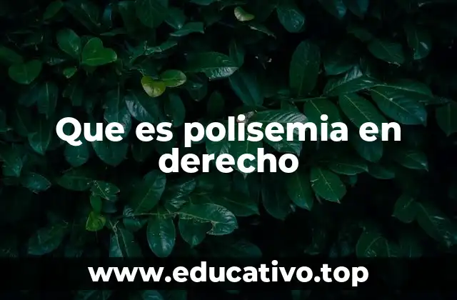 Que es polisemia en derecho