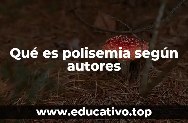 Qué es polisemia según autores