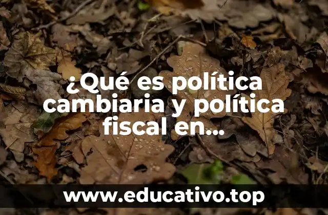 ¿Qué es política cambiaria y política fiscal en macroeconomía?