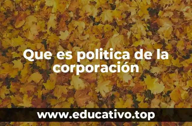Que es politica de la corporación