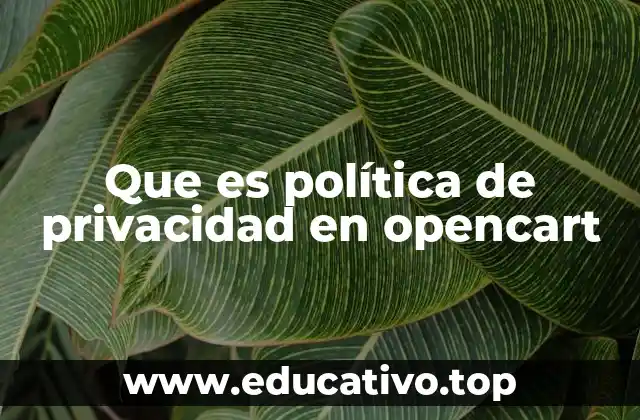 Que es política de privacidad en opencart