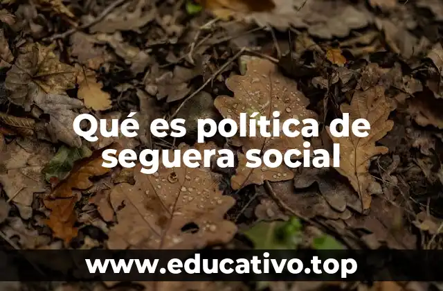 Qué es política de seguera social