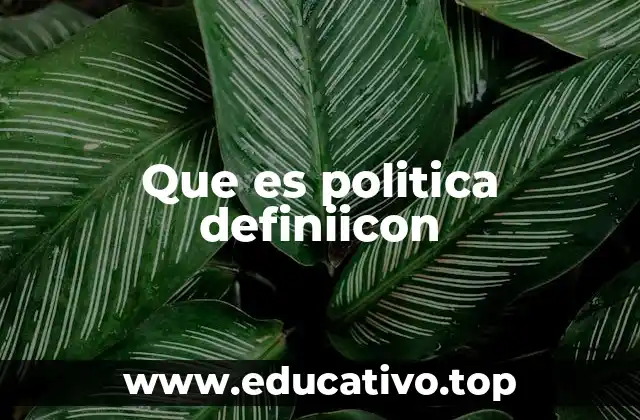 Que es politica definiicon