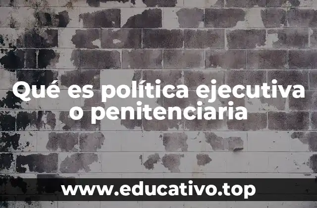 Qué es política ejecutiva o penitenciaria