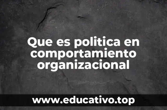 Que es politica en comportamiento organizacional