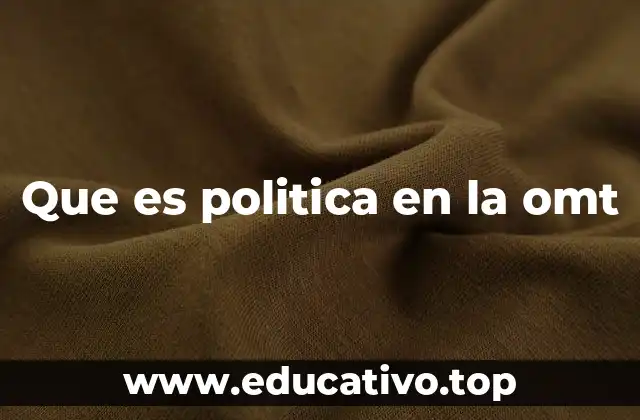 Que es politica en la omt