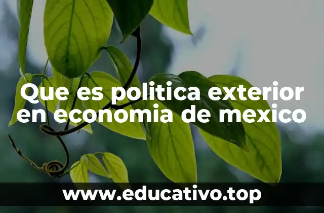 Que es politica exterior en economia de mexico