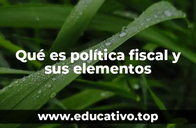 Qué es política fiscal y sus elementos