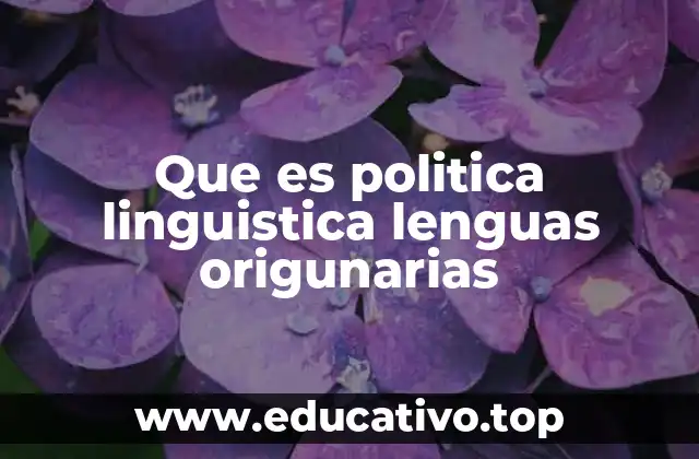 Que es politica linguistica lenguas origunarias