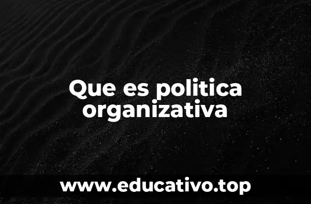 Que es politica organizativa