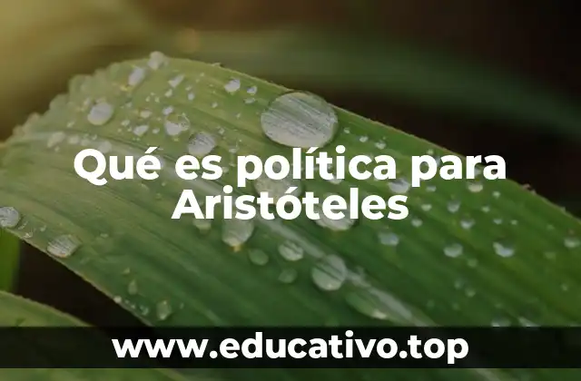 Qué es política para Aristóteles