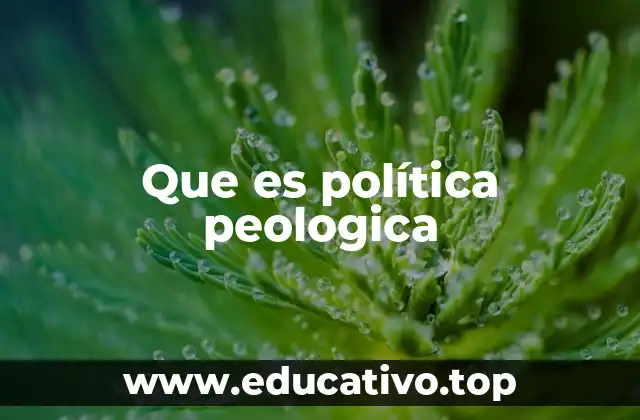 Que es política peologica