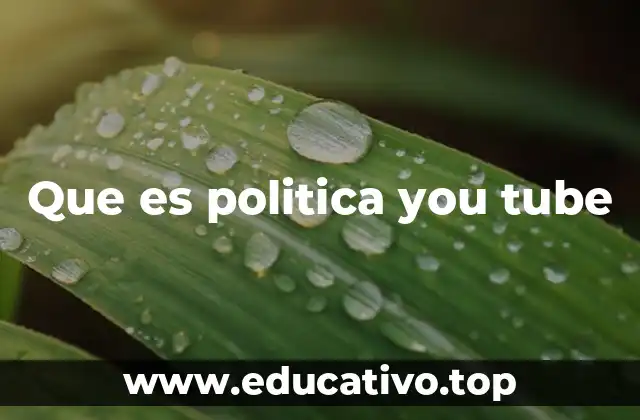 Que es politica you tube