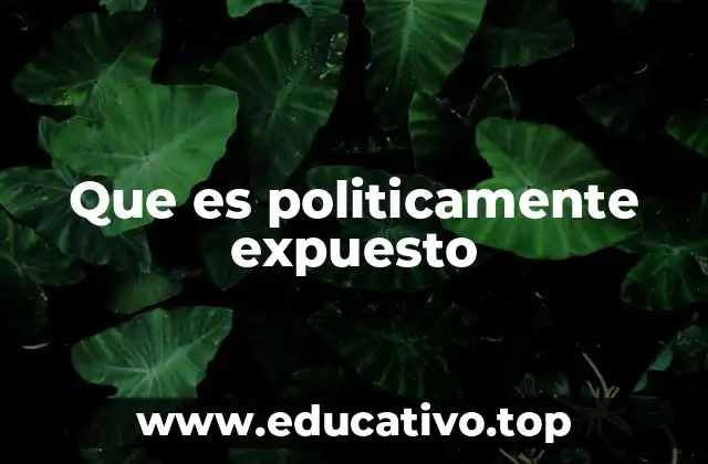 Que es politicamente expuesto