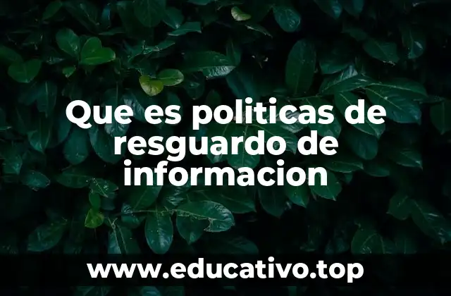 Que es politicas de resguardo de informacion