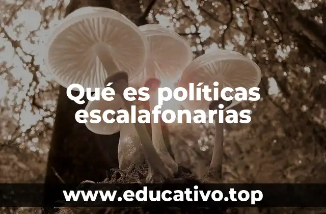 Qué es políticas escalafonarias