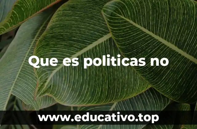 Que es politicas no