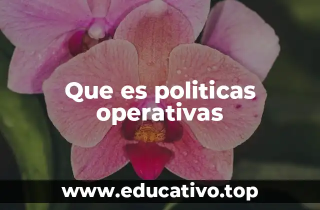 Que es politicas operativas