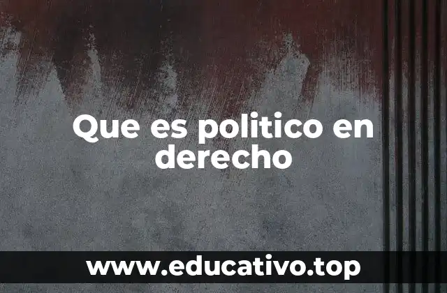 Que es politico en derecho