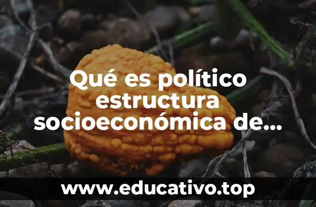 Qué es político estructura socioeconómica de México
