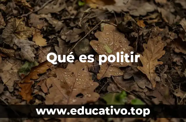 Qué es politir