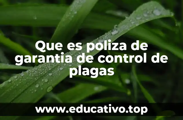 Que es poliza de garantia de control de plagas