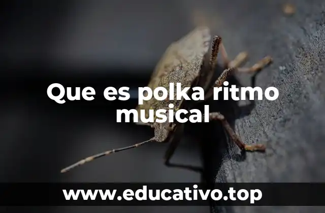Que es polka ritmo musical