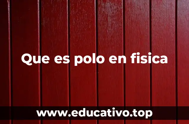 Que es polo en fisica