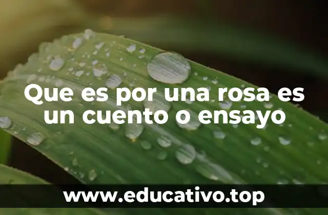 Que es por una rosa es un cuento o ensayo