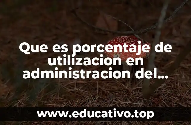 Que es porcentaje de utilizacion en administracion del mantenimiento