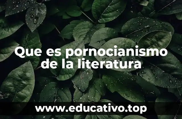 Que es pornocianismo de la literatura