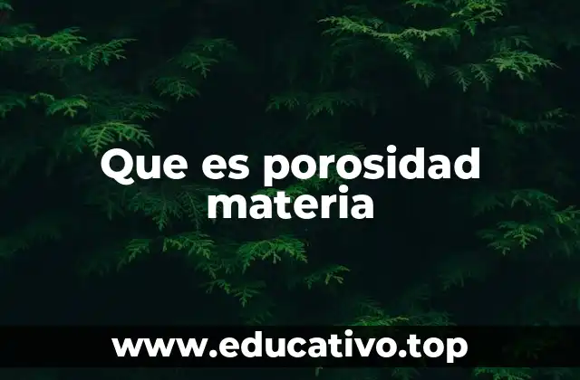 Que es porosidad materia