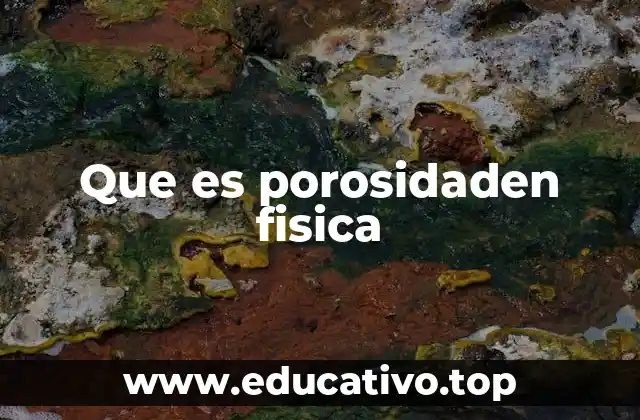 Que es porosidaden fisica